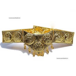 BELT 6843