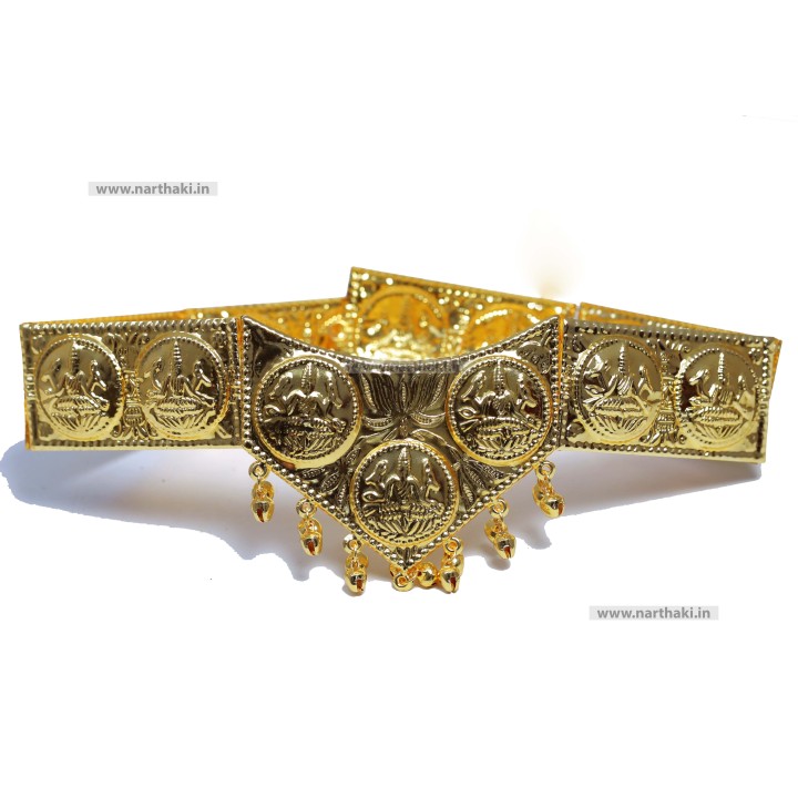 BELT 6843