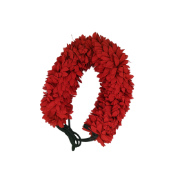 FLOWER F1 12 MEROON