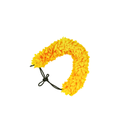 FLOWER F1 12 YELLOW