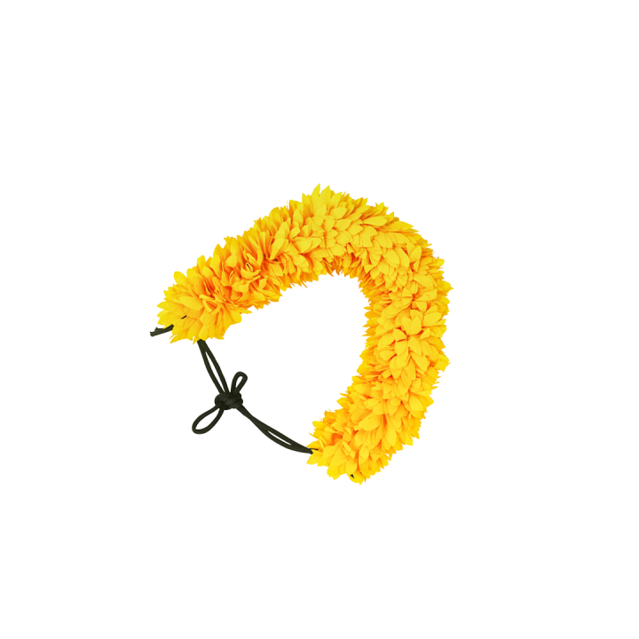 FLOWER F1 12 YELLOW