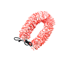 FLOWER F2 RED