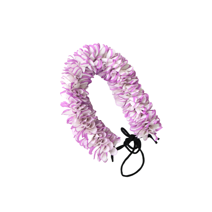 FLOWER F2 VIOLET