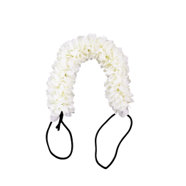 FLOWER F1 12 CREAM